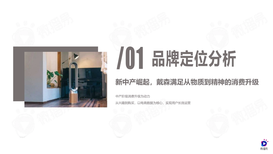 戴森品牌社媒营销分析方案-微播易.pdf_第2页