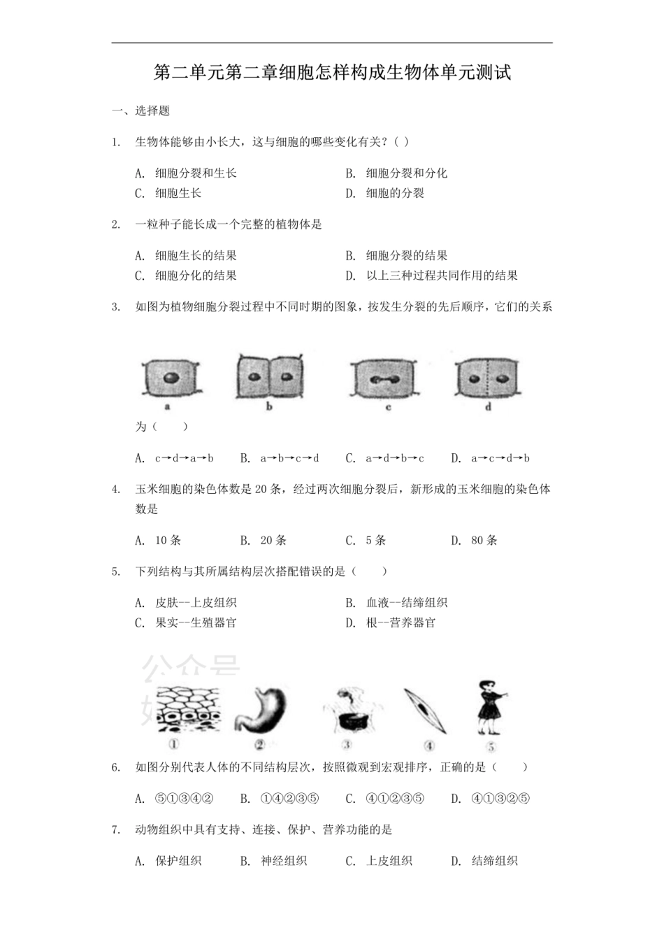 人教版七年级上册生物第二单元 第二章 细胞怎样构成生物体单元测试（解析版）-普通用卷.pdf_第1页