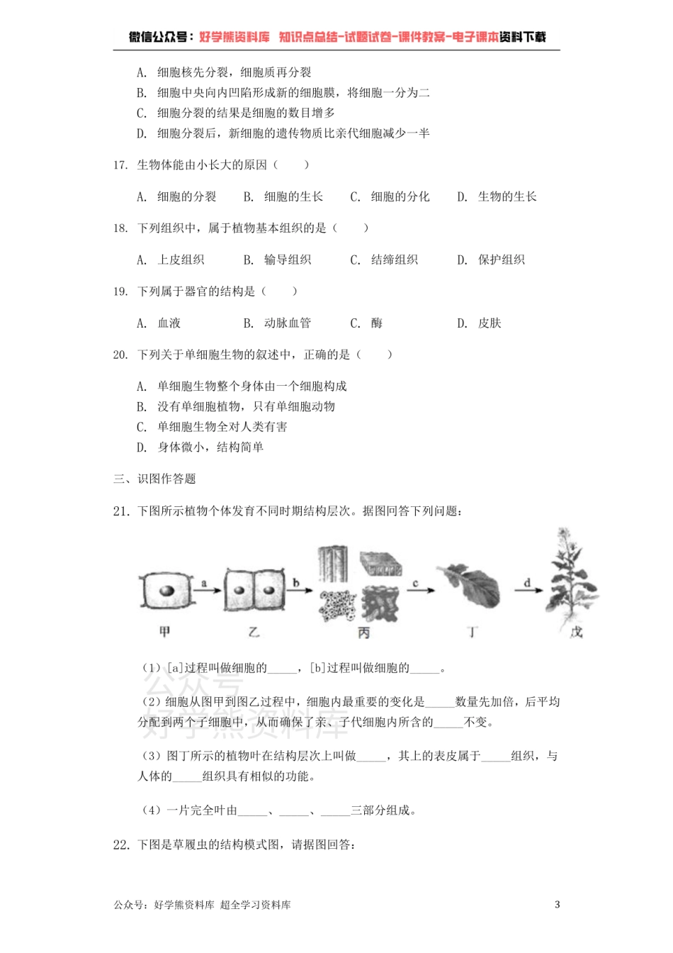 人教版七年级上册生物第二单元 第二章 细胞怎样构成生物体单元测试（解析版）-普通用卷.pdf_第3页