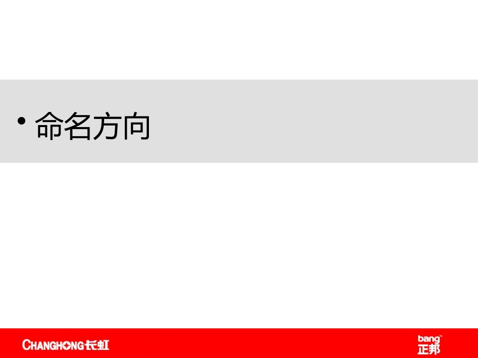 正邦-长虹品牌名称及标志提案报告.pptx_第2页