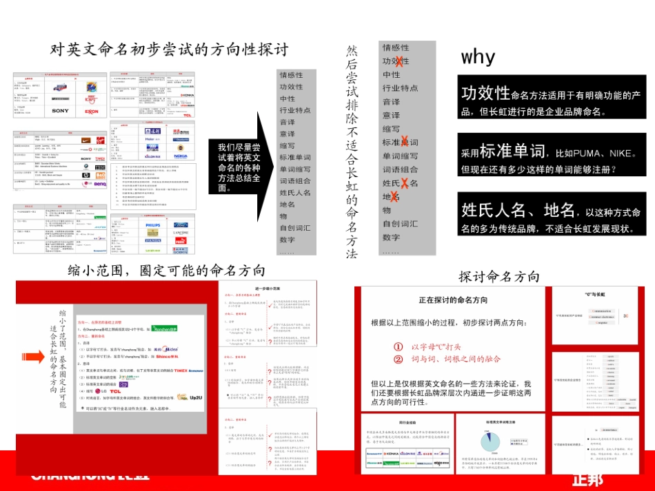 正邦-长虹品牌名称及标志提案报告.pptx_第3页
