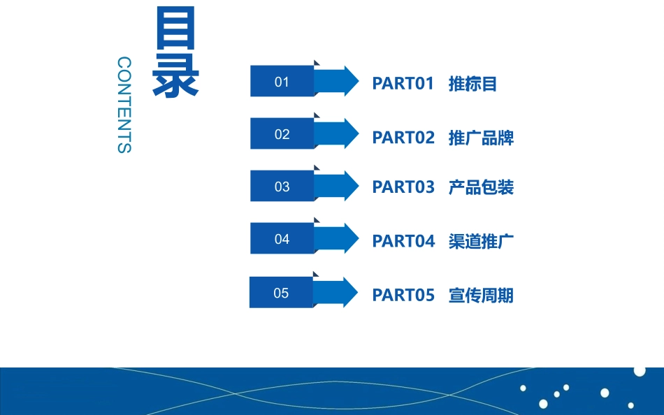 中老年旅游产品品牌营销推广计划.pptx_第2页