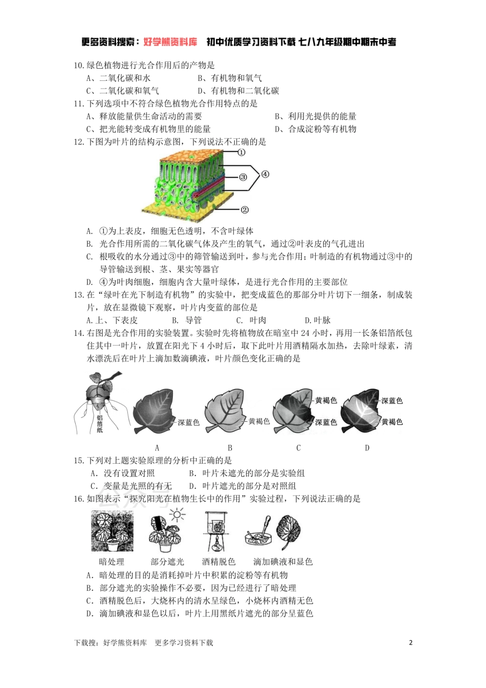 苏科版七年级上册单元测试——第4章    绿色植物是有机物的生产者（一）.pdf_第2页