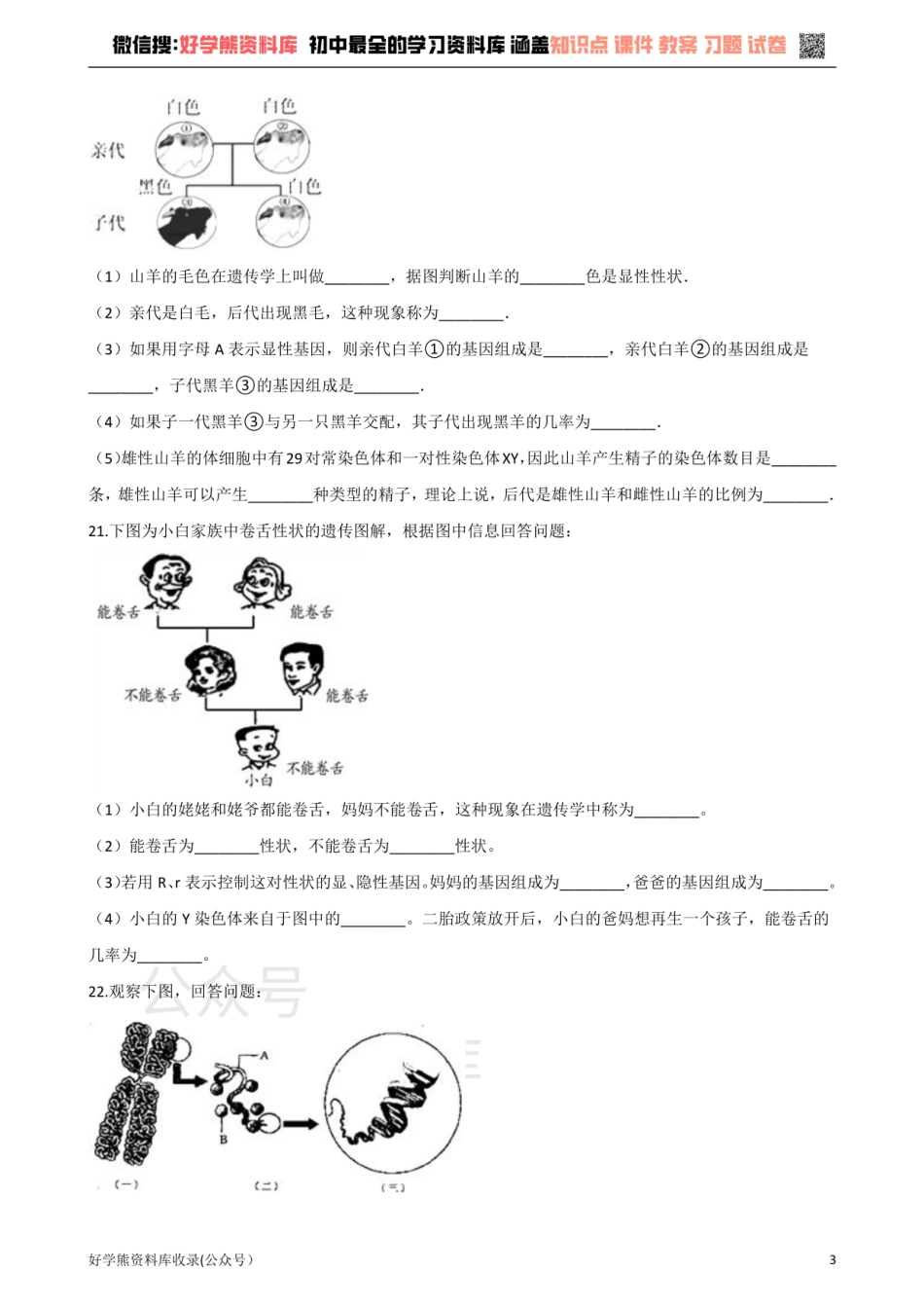 苏科版生物八年级下册 第22章 生物的遗传与变异 单元测试题.pdf_第3页