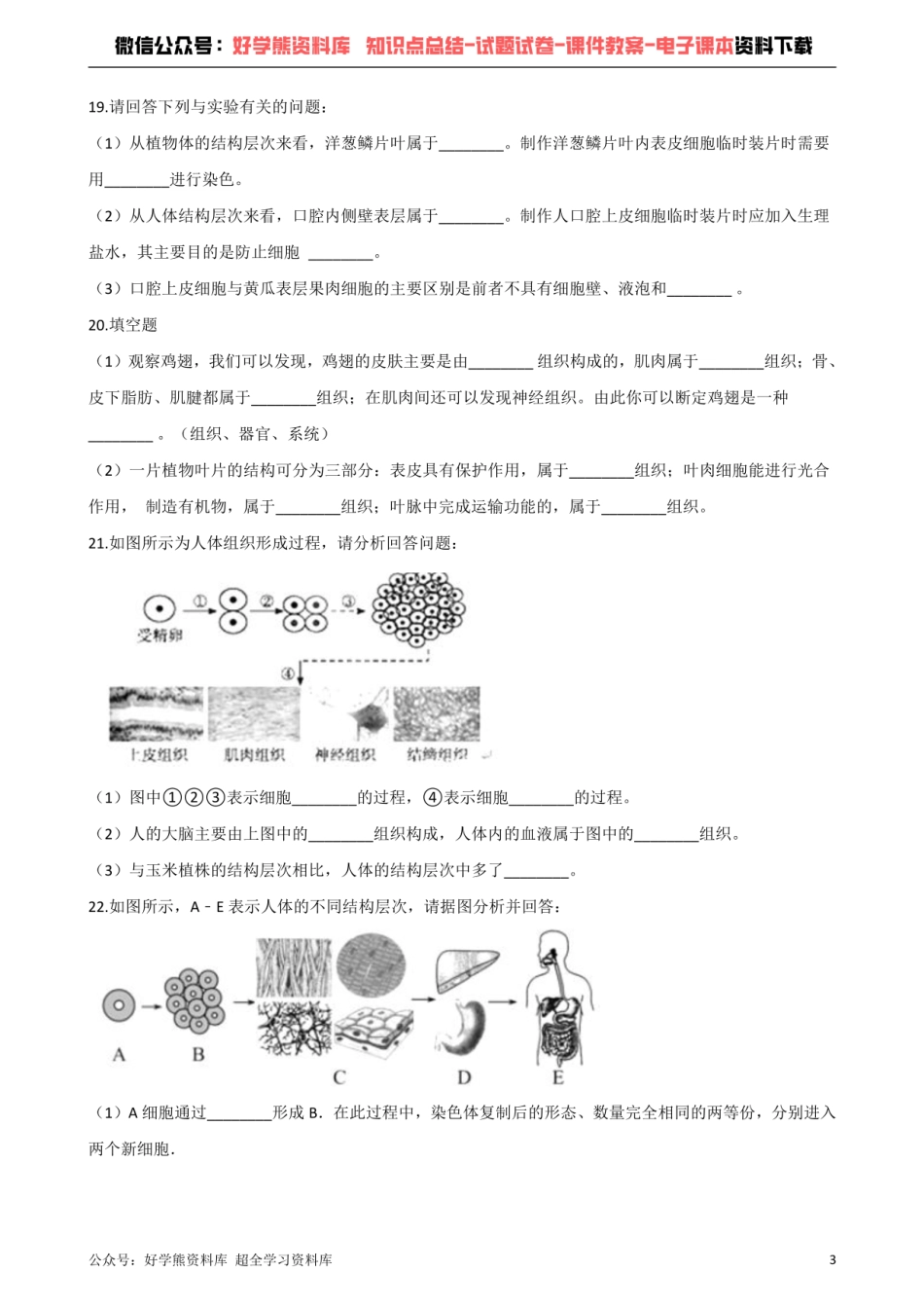 苏科版生物七年级下册 第9章 生物体有相似的结构层次 单元测试题.pdf_第3页