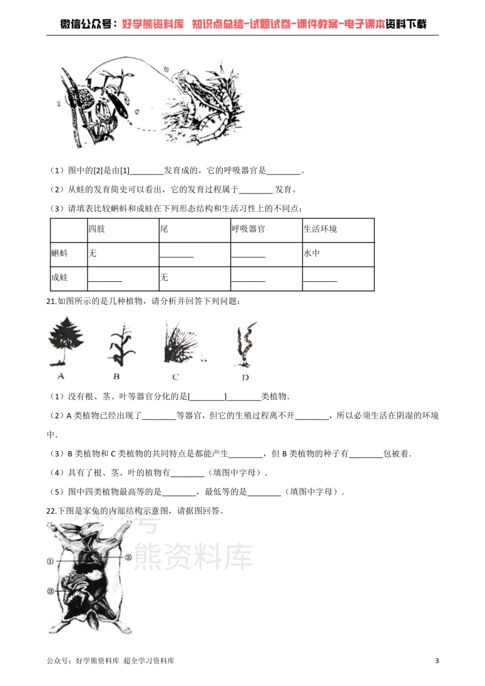 苏科版生物七年级下册 第11章 地面上的生物 单元测试题.pdf_第3页