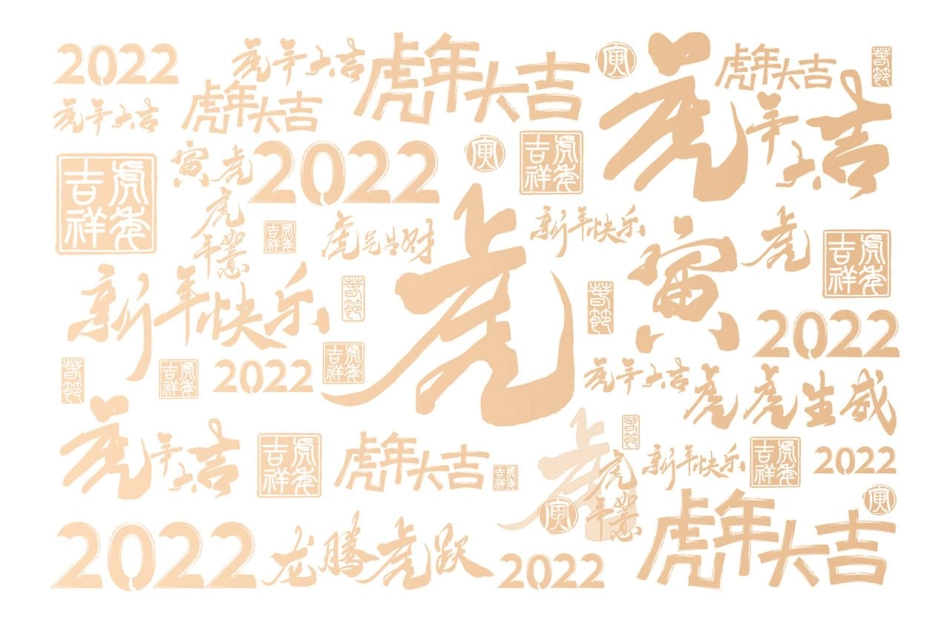 142.2022年虎年日历设计方案.pdf_第2页