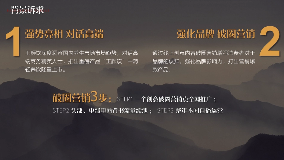 保健饮品牌营销推广全案2022年10月15日.pdf_第3页