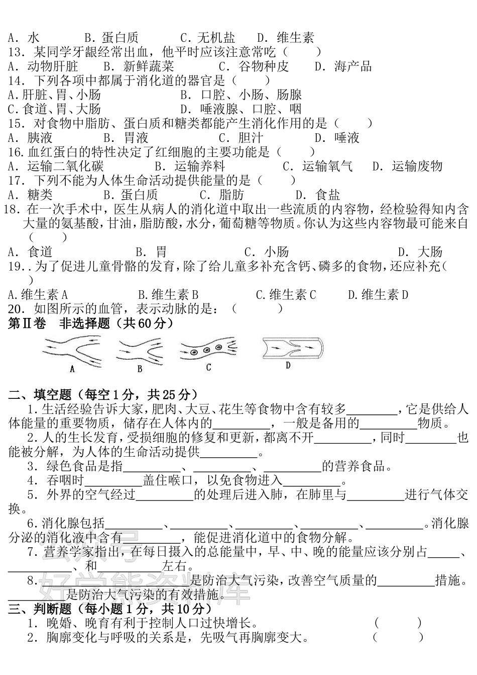 人教版七年级生物下册期中测试题一及答案.doc_第2页