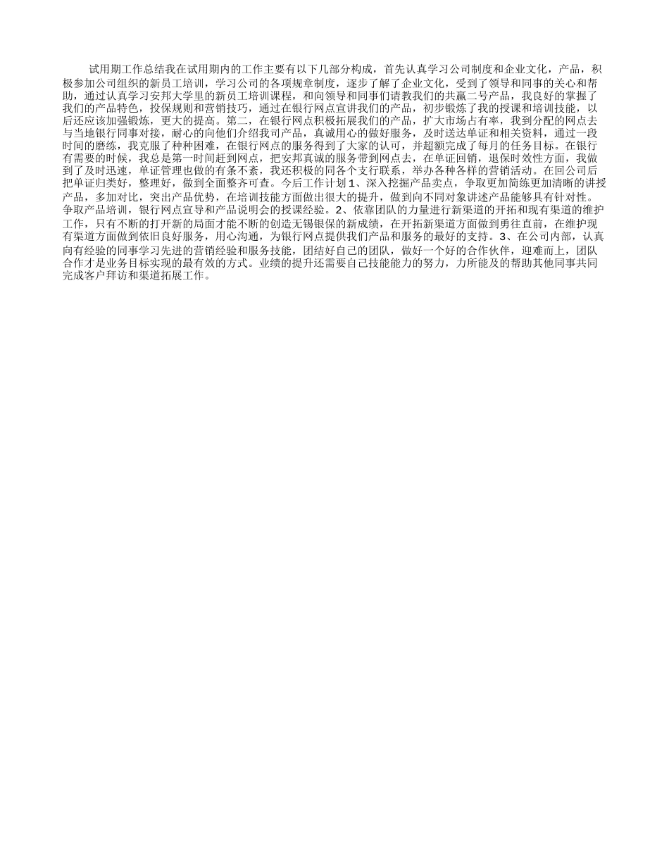 试用期工作总结和今后工作计划-(8000字).doc_第1页