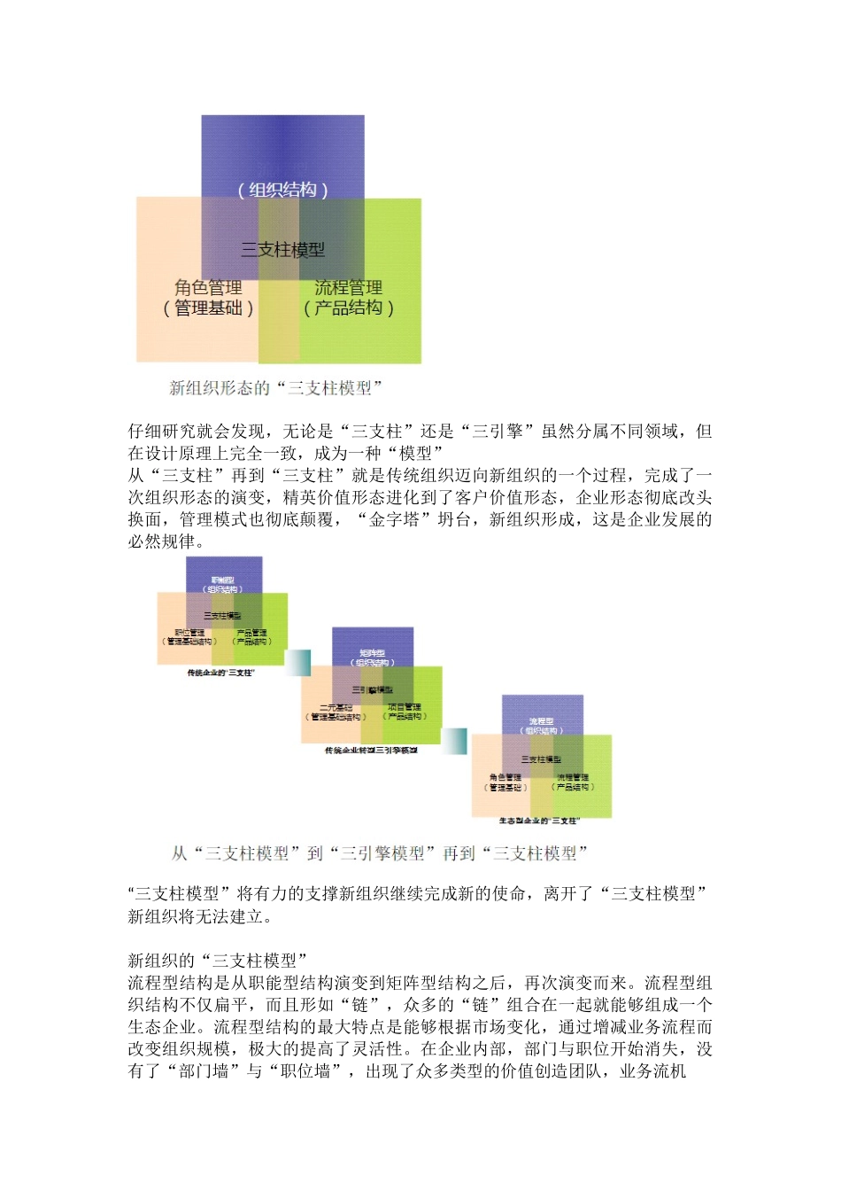 【设计】新组织设计：从“三支柱模型”再到“三支柱模型”.docx_第3页