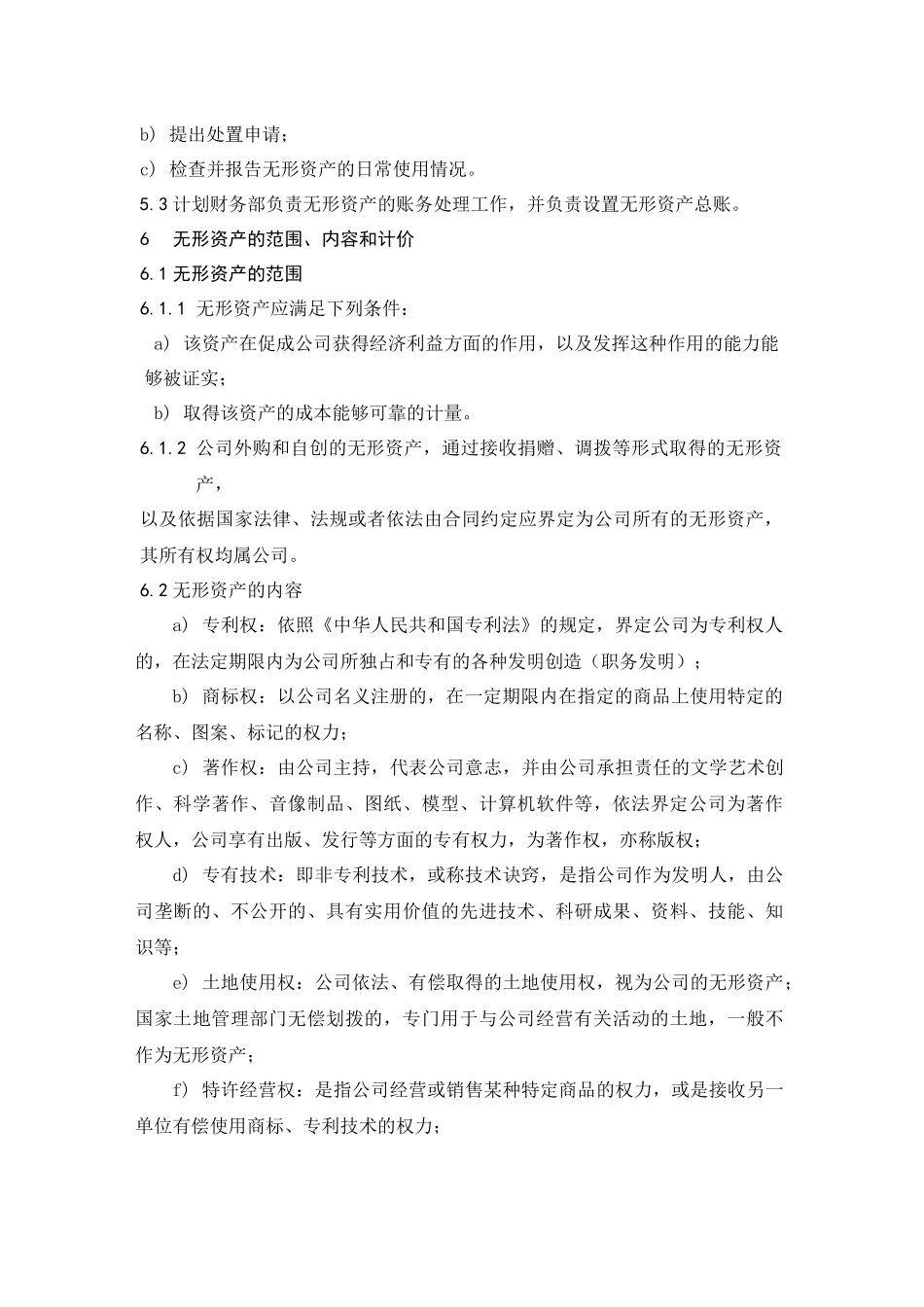 【资产管理】-17-无形资产管理实施细则.doc.docx_第2页