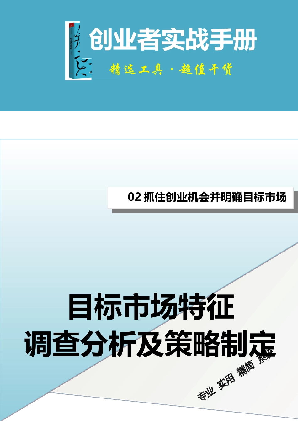 目标市场特征调查分析及策略制定(1).doc_第1页