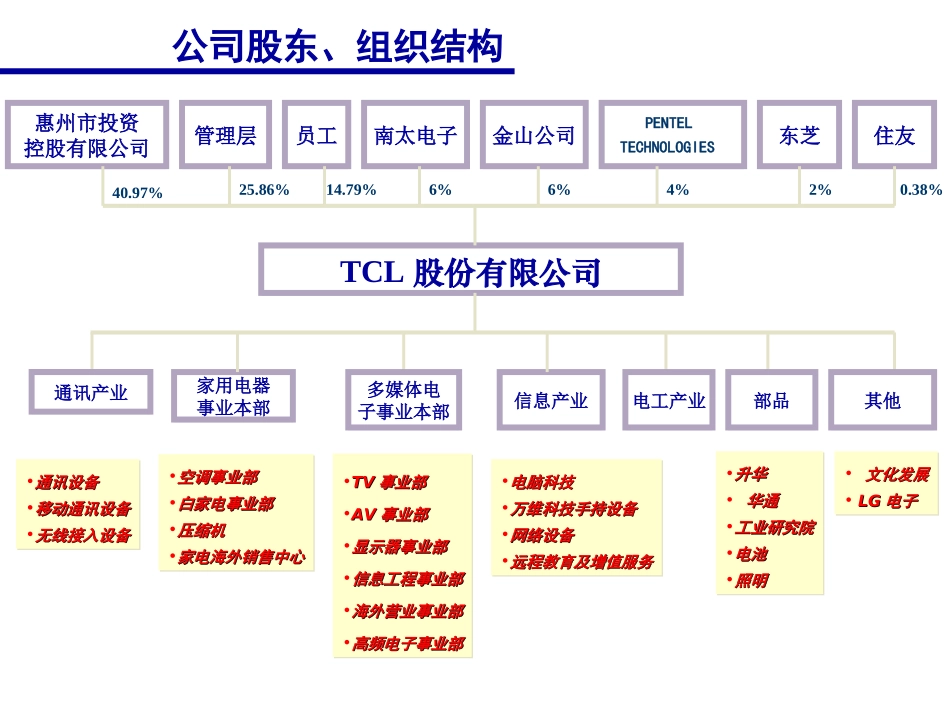 【案例分析】TCL战略及企业文化-44页(1).ppt_第3页