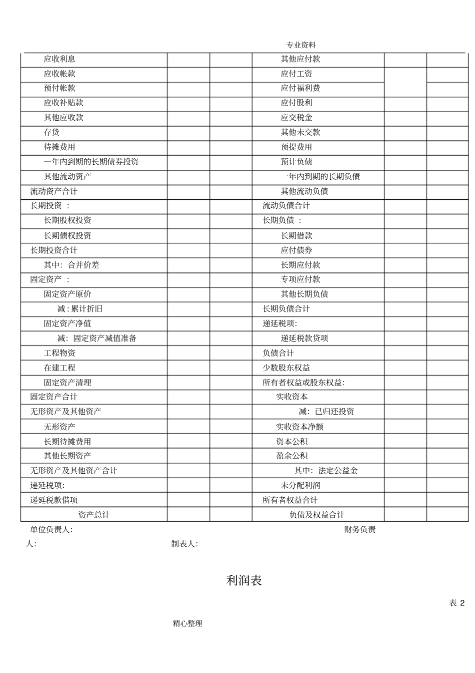 (完整)财务报表模板[全套],推荐文档(1).pdf_第2页