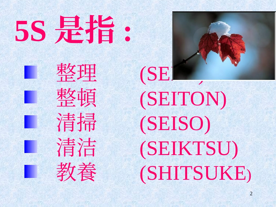 aab_1112_5S基础教程--杨国锋.ppt_第2页