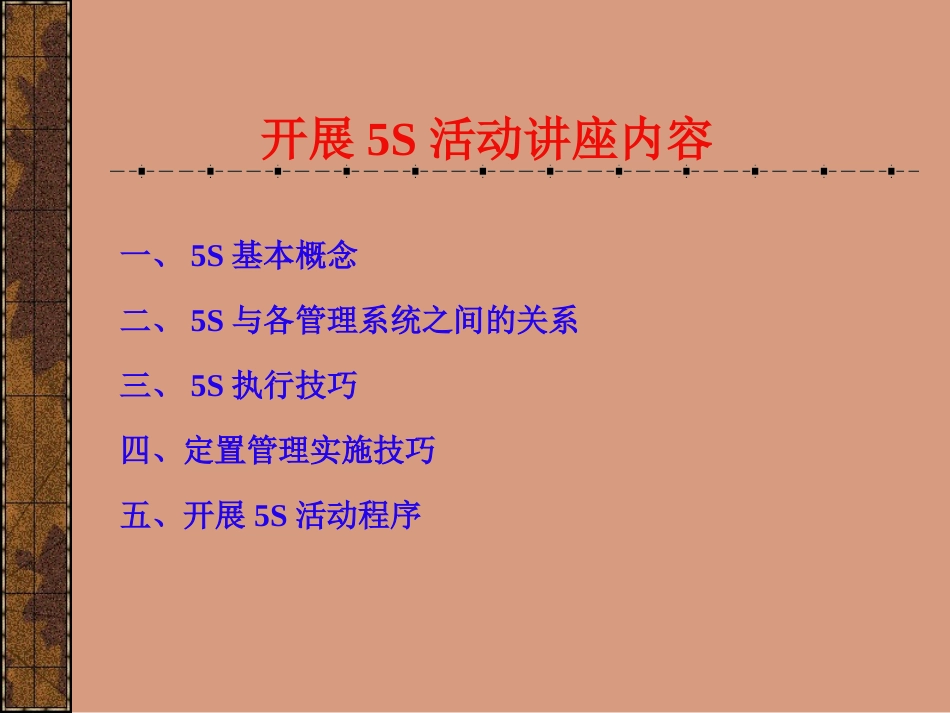 aag_0504_非常系统的5S资料.ppt_第1页