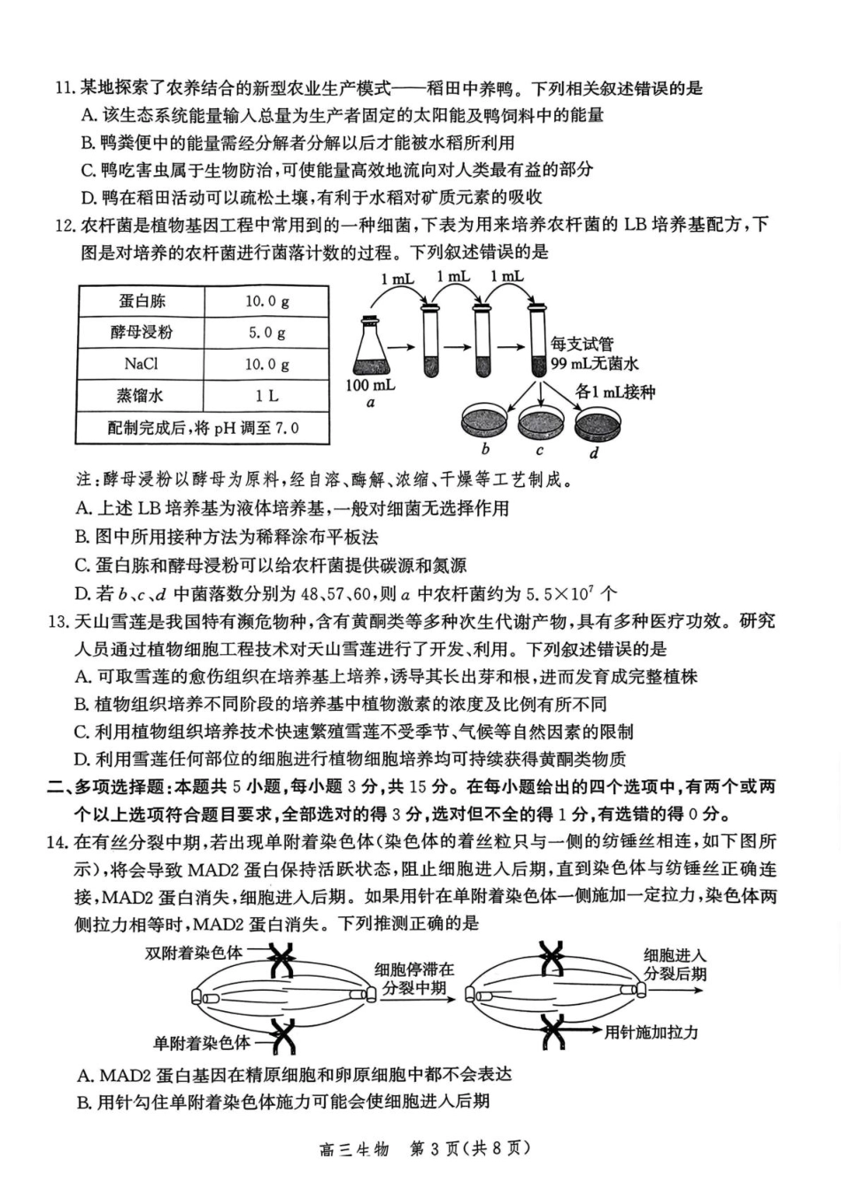 河北省邯郸市2025届高三第二次调研生物试卷.pdf_第3页