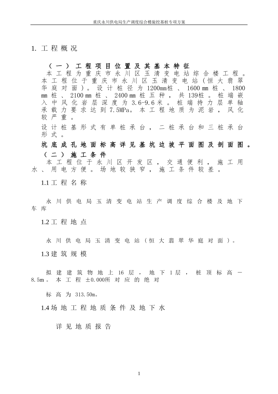 新旋挖成孔、混凝土灌注桩施工组织设计方案.(含施工进度计划图)doc.doc_第1页