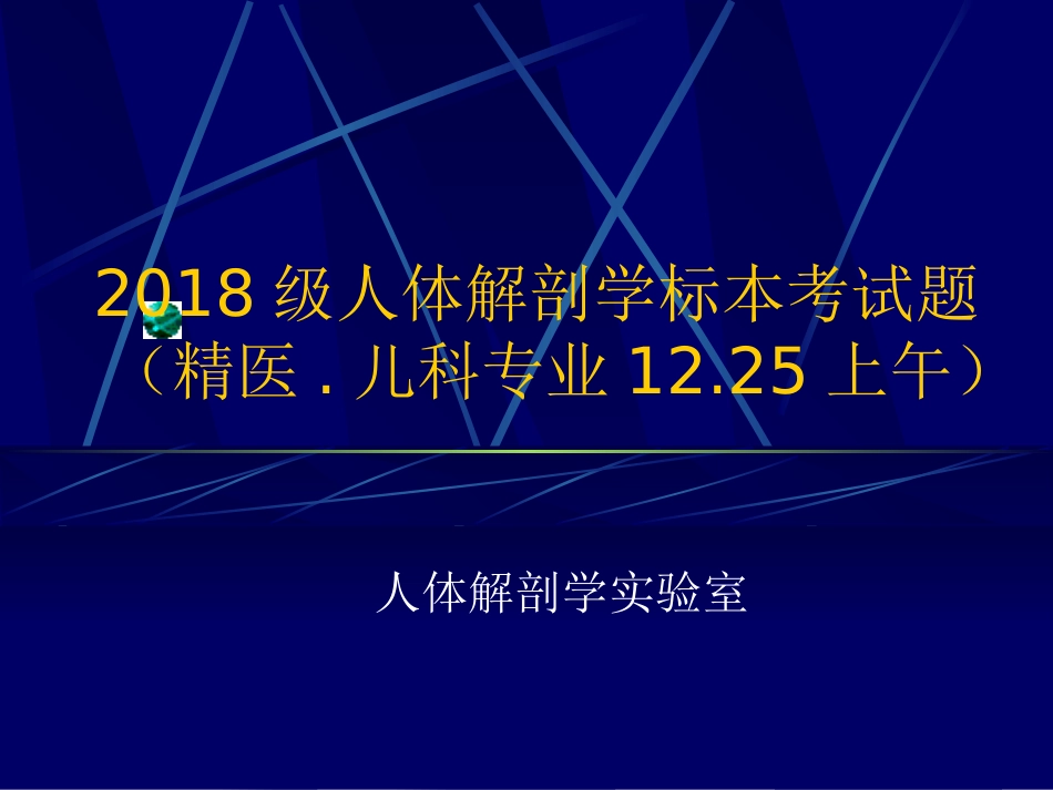 2018级精医儿科实验考试题(12.25上午）.pptx_第1页