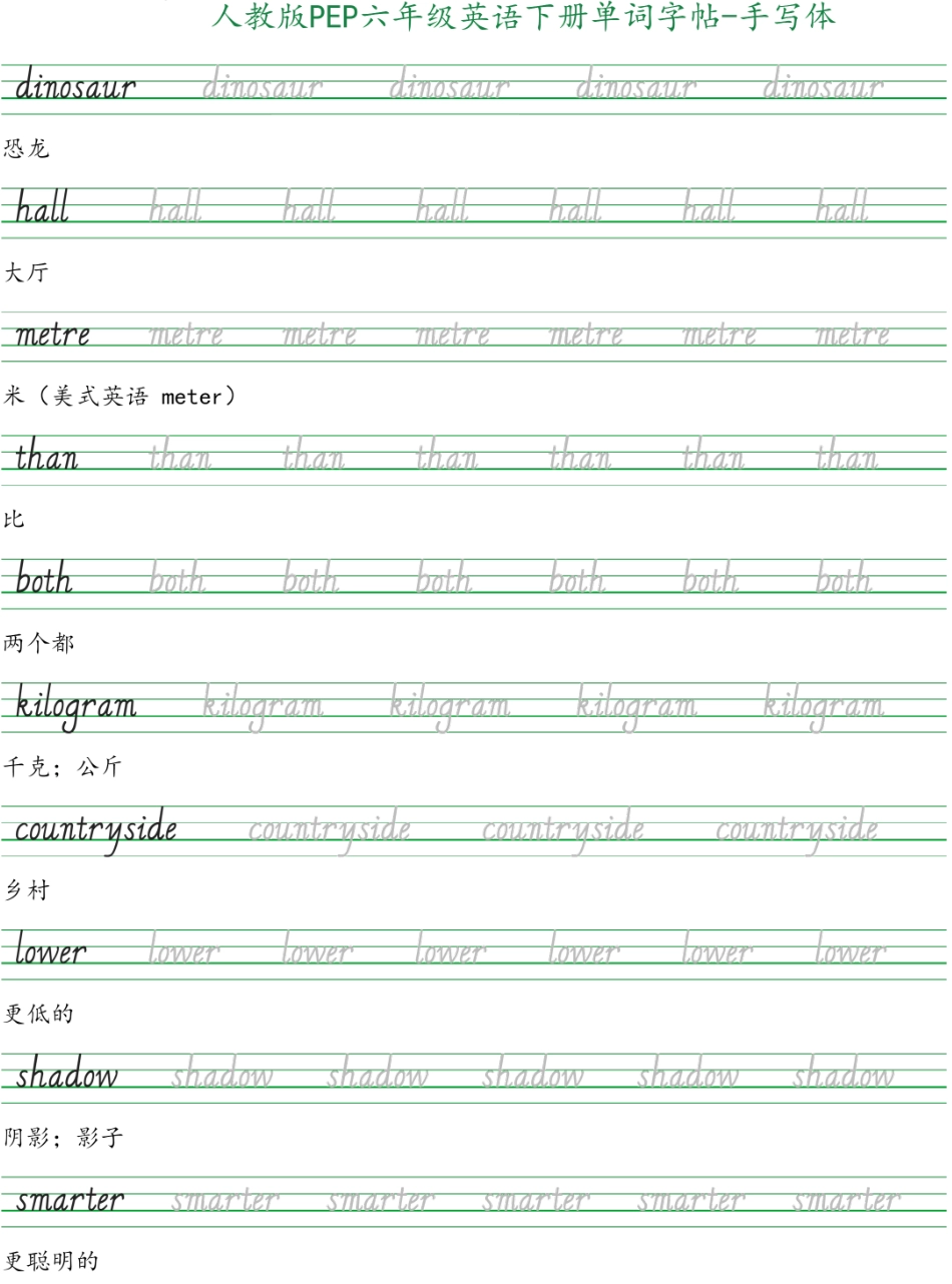 人教版PEP六年级英语下册单词字帖(手写体).pdf_第2页