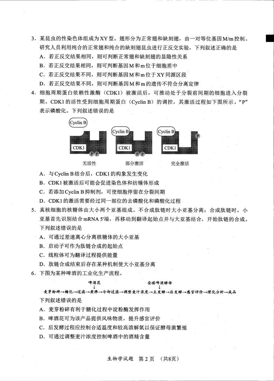 2025福建省六市高三第一次质量检测生物试卷.pdf_第2页