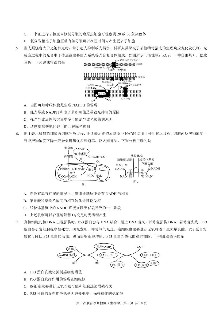 2025重庆市高三第一次联合诊断检测（康德一诊）生物试题.pdf_第2页