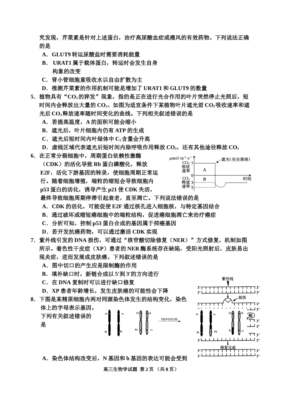 吉林地区普通中学2024-2025学年高三上学期二模试题  生物含答案.doc_第2页