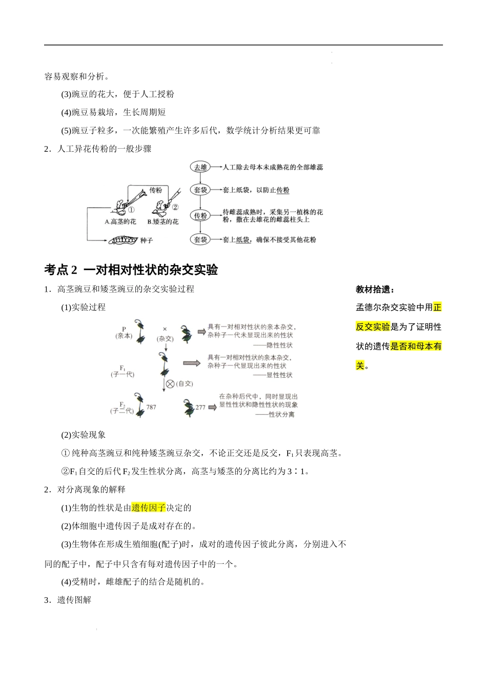 知识清单11 基因分离定律-2025年高考生物一轮复习知识清单.docx_第3页