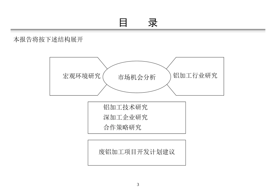 121罗兰贝格－宝钢国际咨询报告.ppt_第3页
