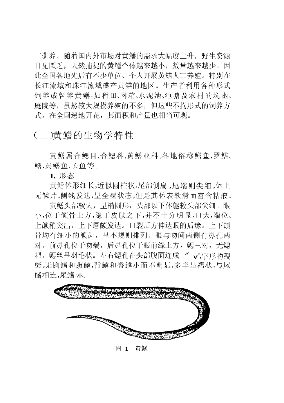 黄鳝泥鳅养殖实用新技术  （修订本）.pdf_第3页