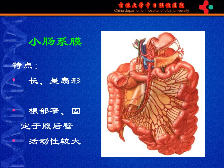 7)《护理本科-肠疾病》胃肠外科-高硕徽.ppt_第3页