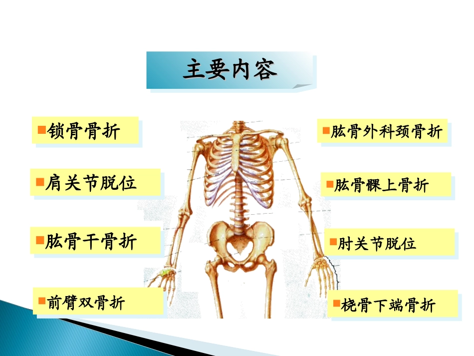 17)上肢骨折五年制2015-04-14.ppt_第3页