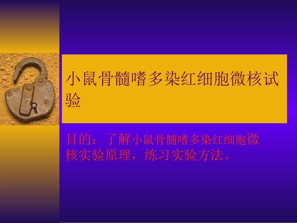 小鼠骨髓嗜多染红细胞微  100.ppt_第1页