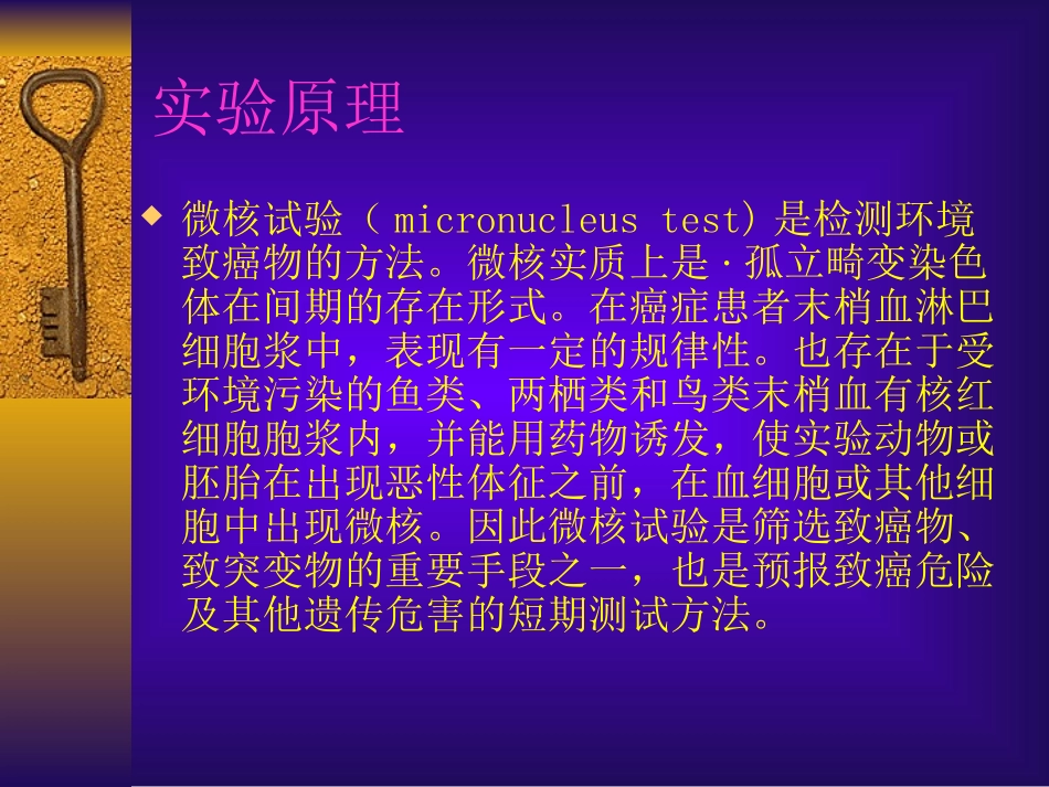 小鼠骨髓嗜多染红细胞微  100.ppt_第2页