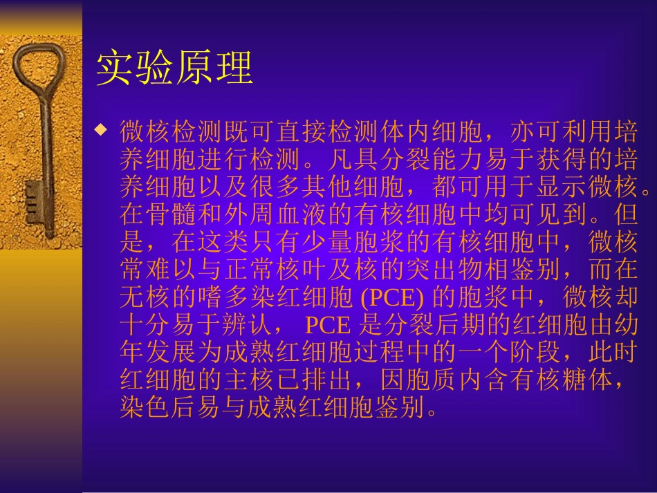 小鼠骨髓嗜多染红细胞微  100.ppt_第3页