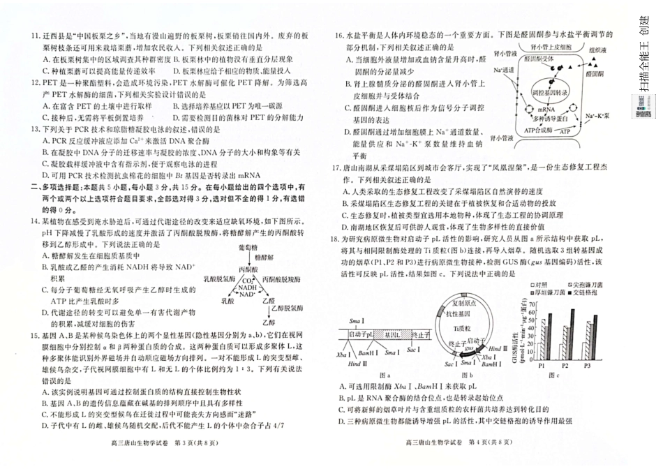 河北省唐山市2024-2025学年高三上学期1月期末生物试题.pdf_第2页