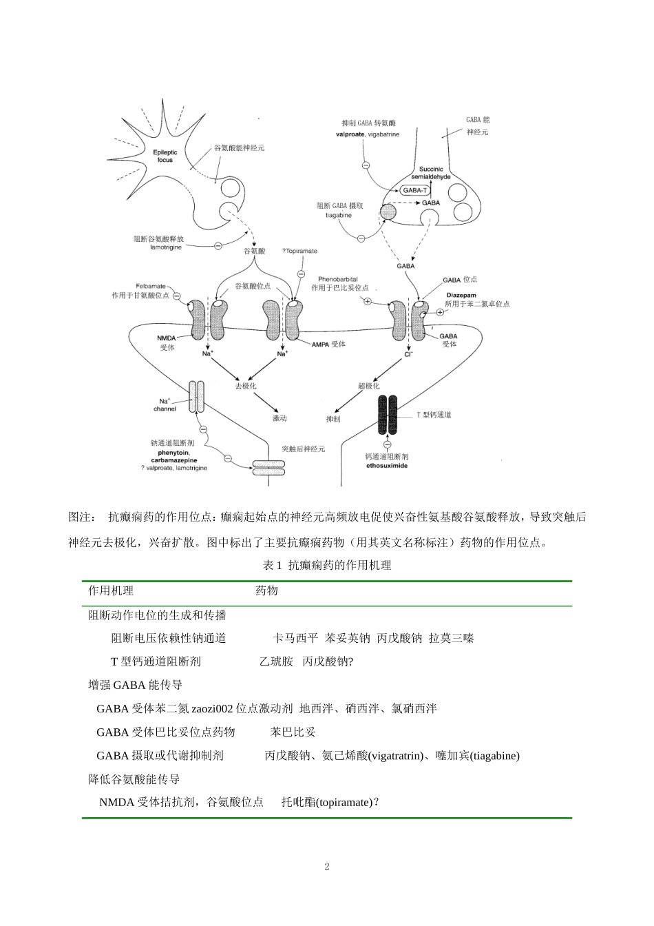 第十六章   抗癫痫药和抗惊厥药.doc_第2页