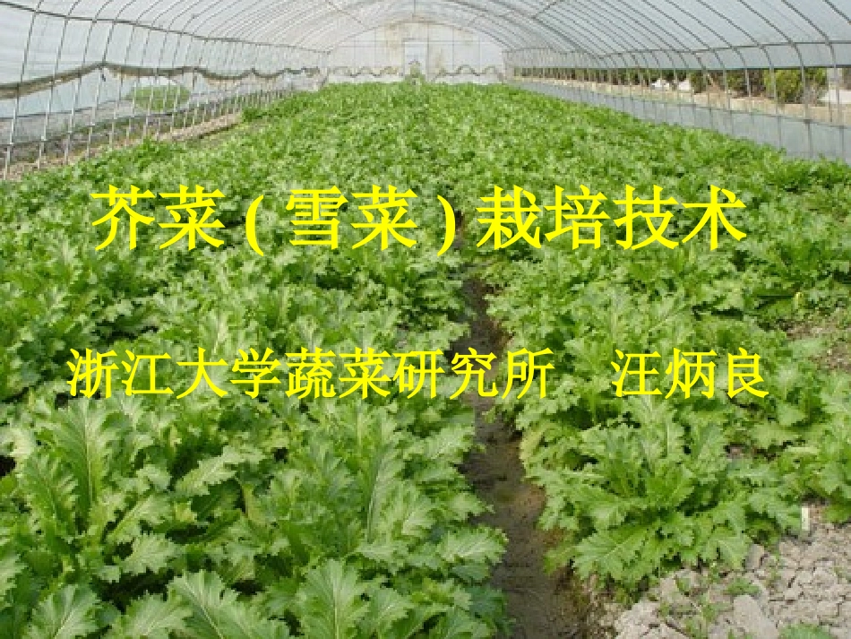 萧山蔬菜种植与管理技术远程课程1.ppt_第1页