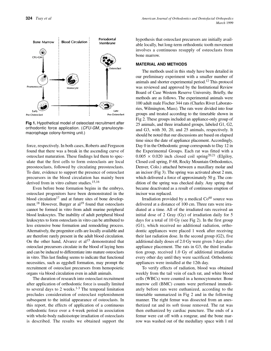 1999_115_3_323_330_Tsay.pdf_第2页