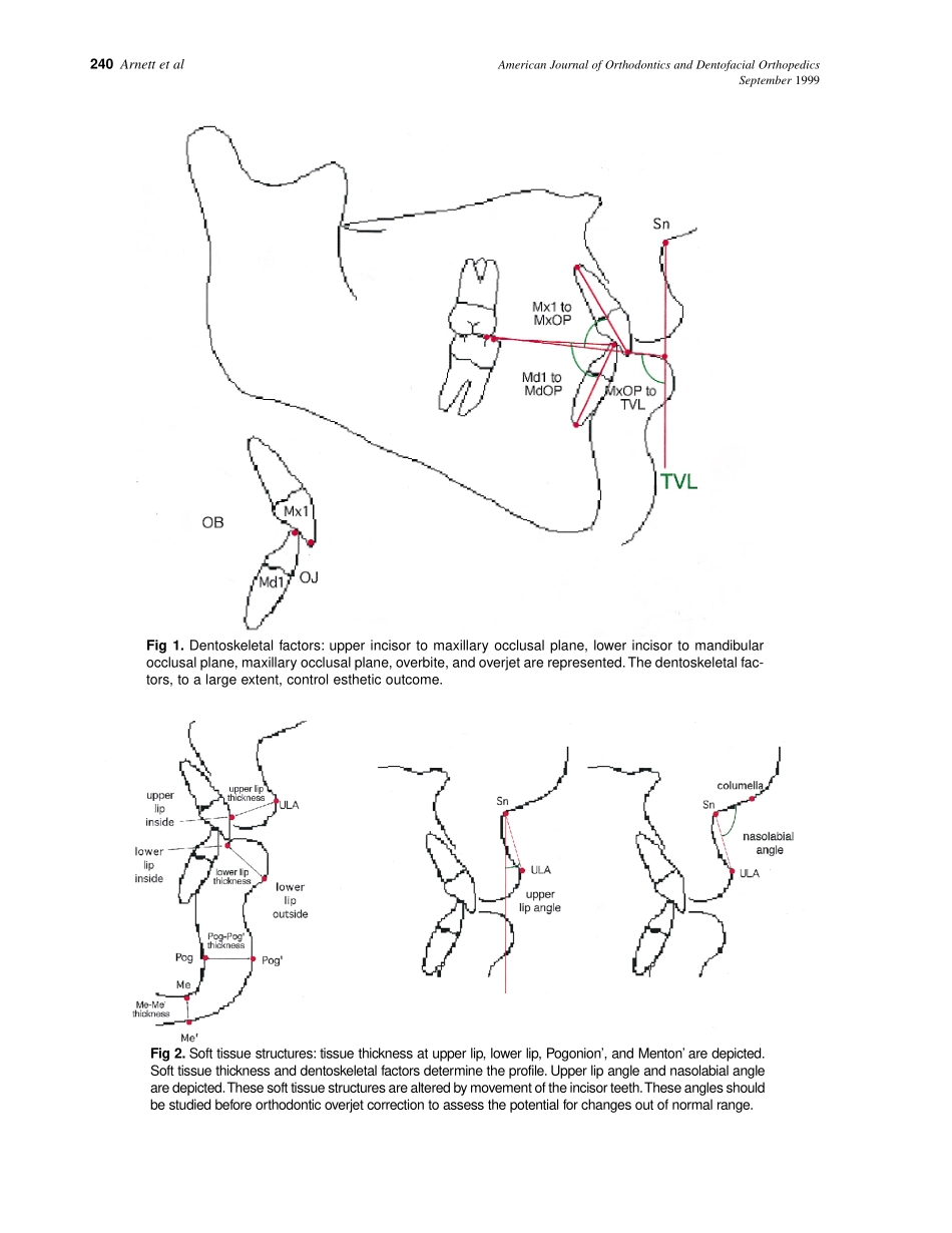 1999_116_3_239_253_Arnett_by_OrTHoTaMiNe.pdf_第2页