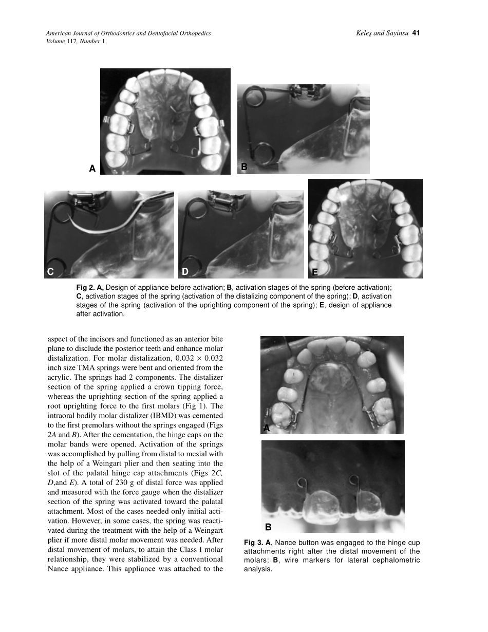 2000_117_1_39_48_Keles.pdf_第3页