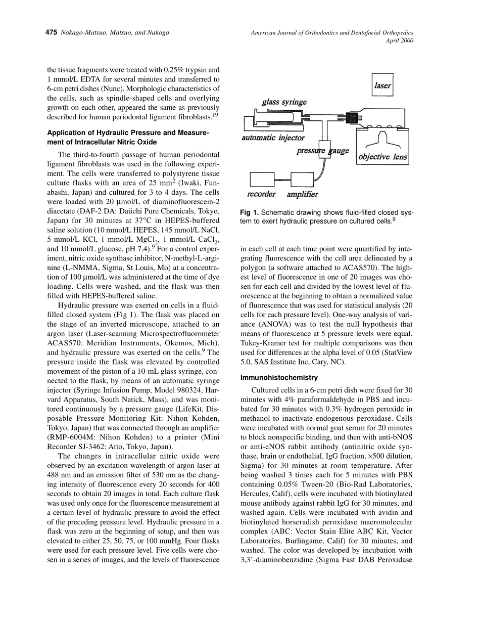 2000_117_4_474_478_Nakago-Matsuo.pdf_第2页