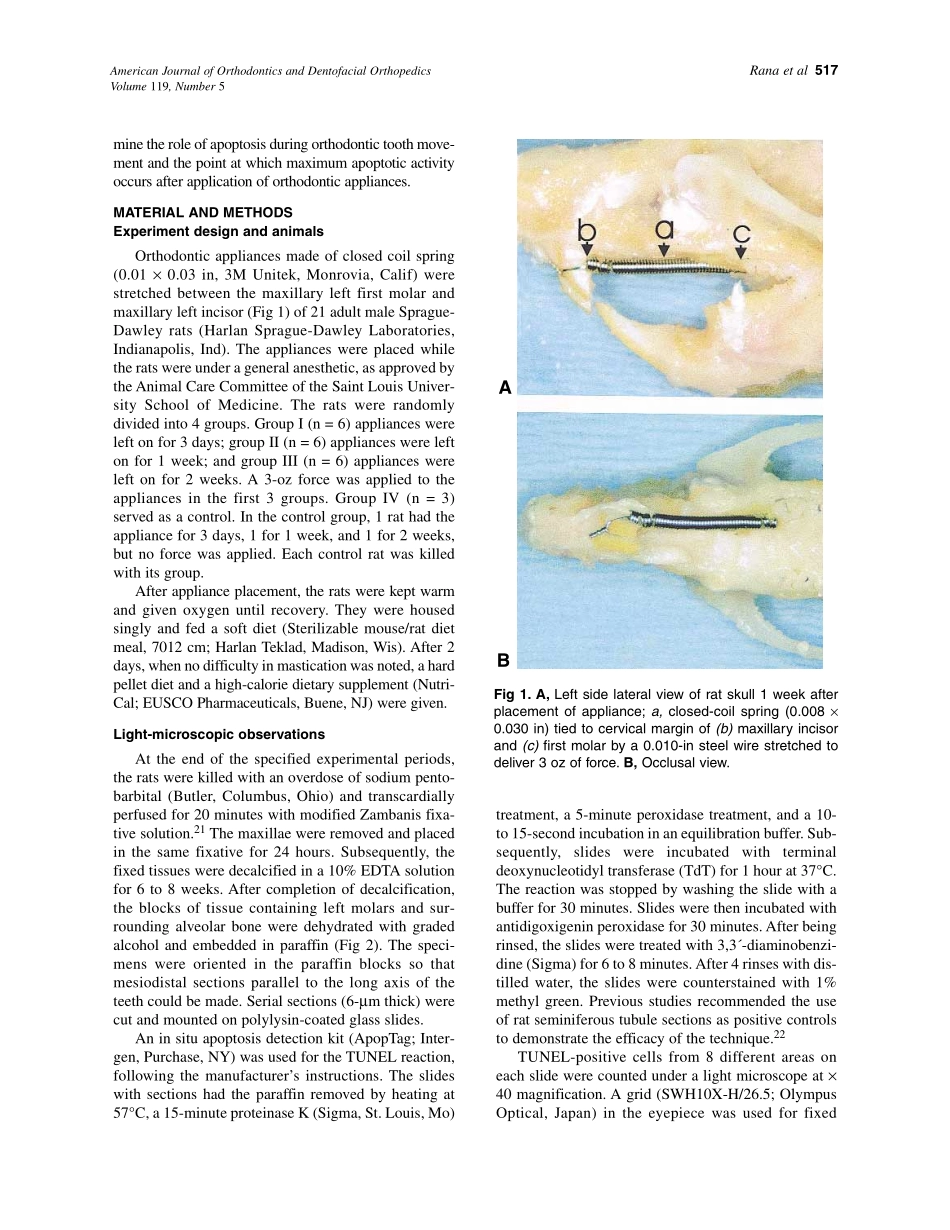 2001_119_5_516_521_Rana.pdf_第2页