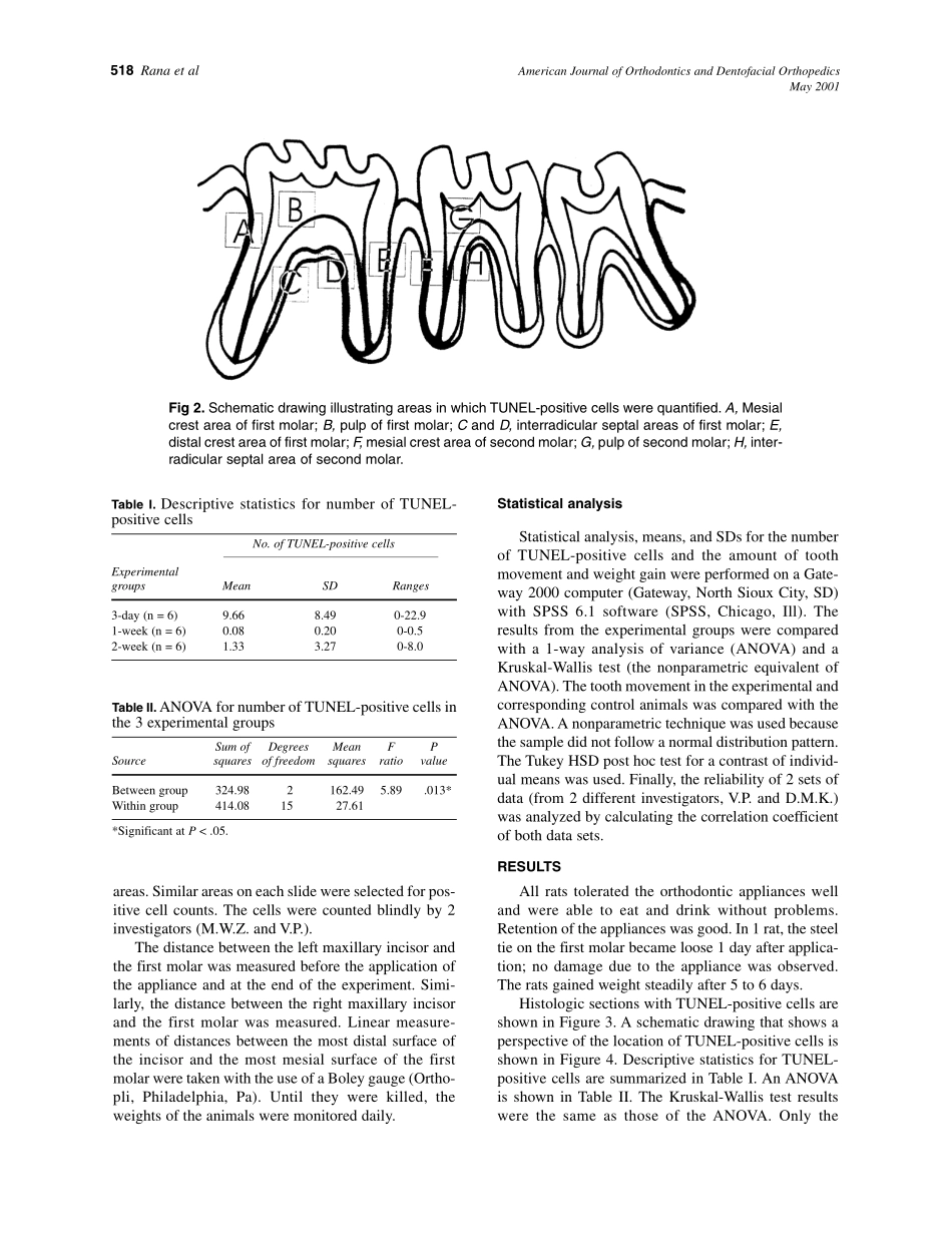 2001_119_5_516_521_Rana.pdf_第3页