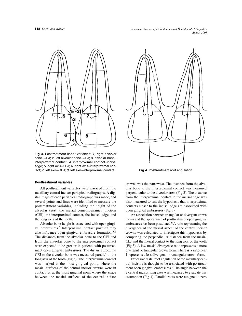 2001_120_2_116_123_Kurth.pdf_第3页