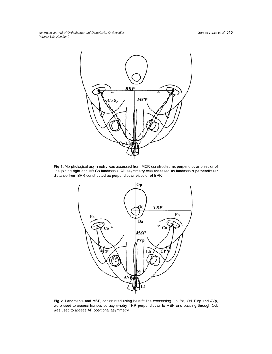2001_120_5_513_520_Pinto.pdf_第3页