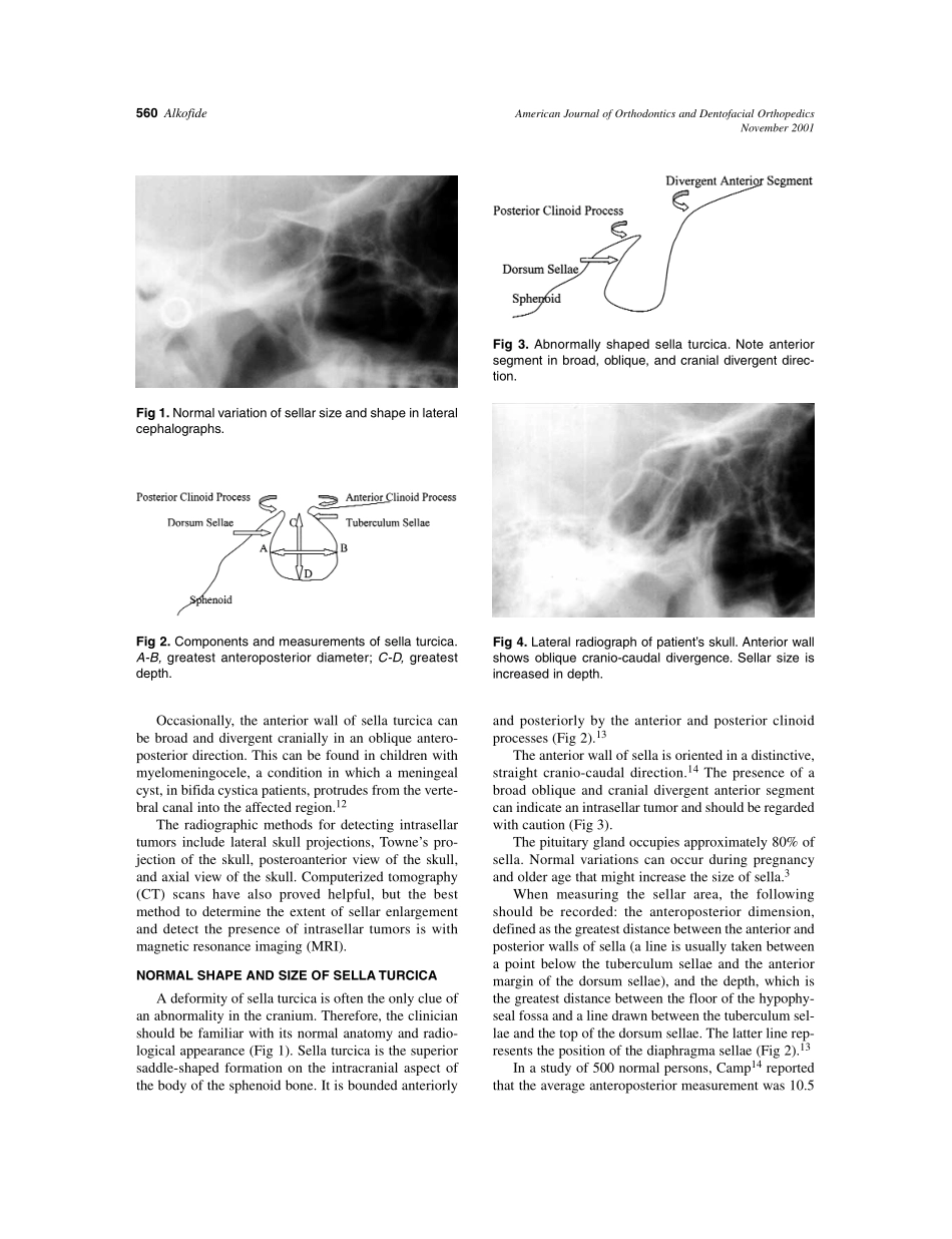 2001_120_5_559_562_Alkofide.pdf_第2页