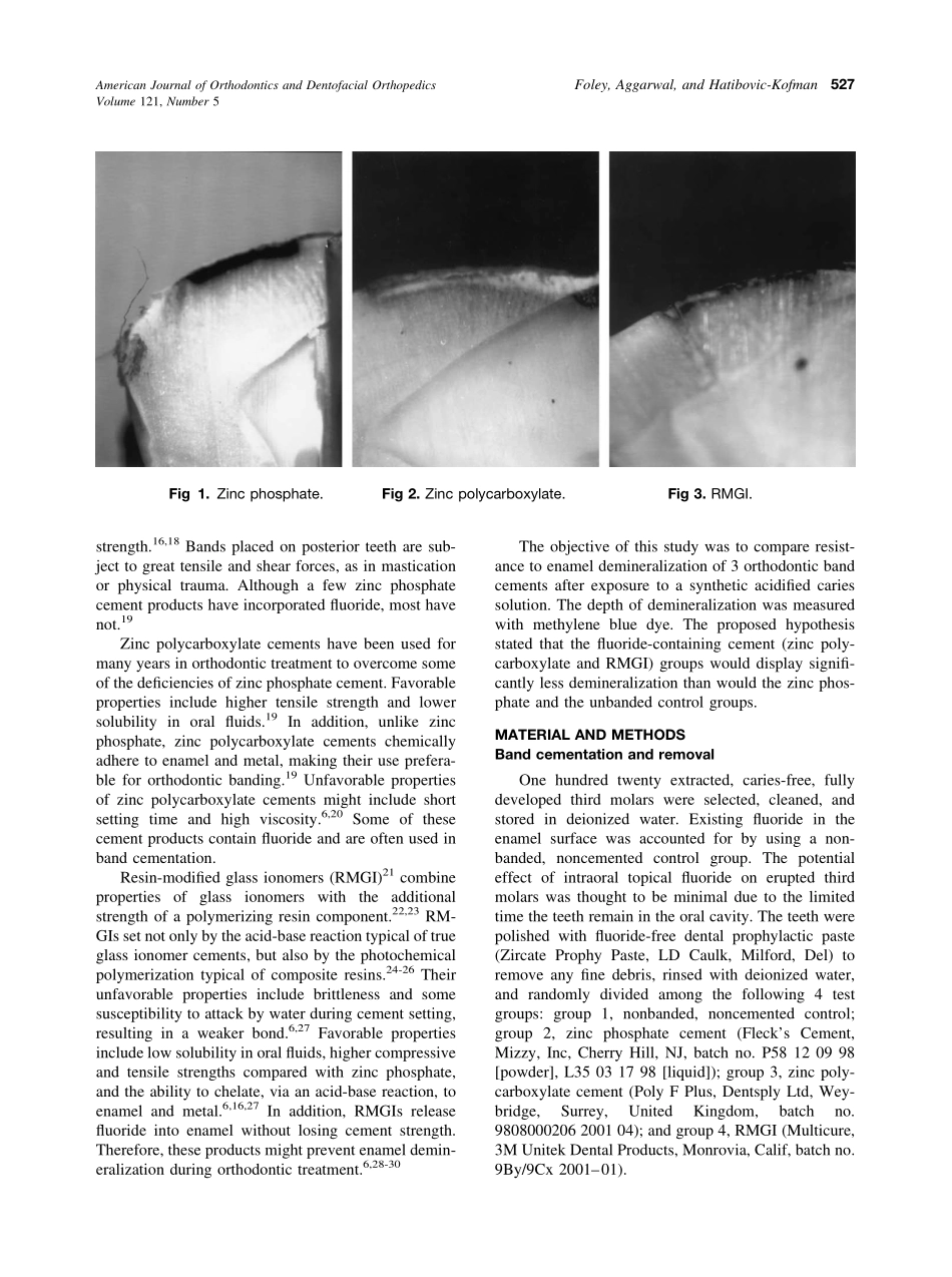 2002_121_5_526_530_Foley.pdf_第2页