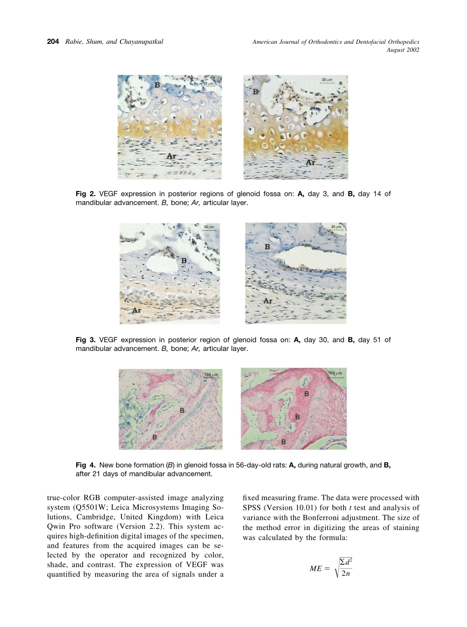 2002_122_2_202_209_Rabie.pdf_第3页